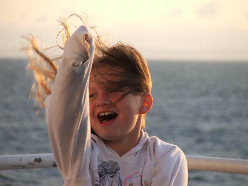 NFLD_drive_to_and-viking_settlement 280.jpg - wow... WIND is fun!!!